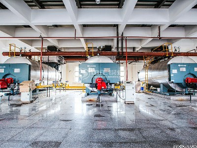 英国上市公司官网365锅炉